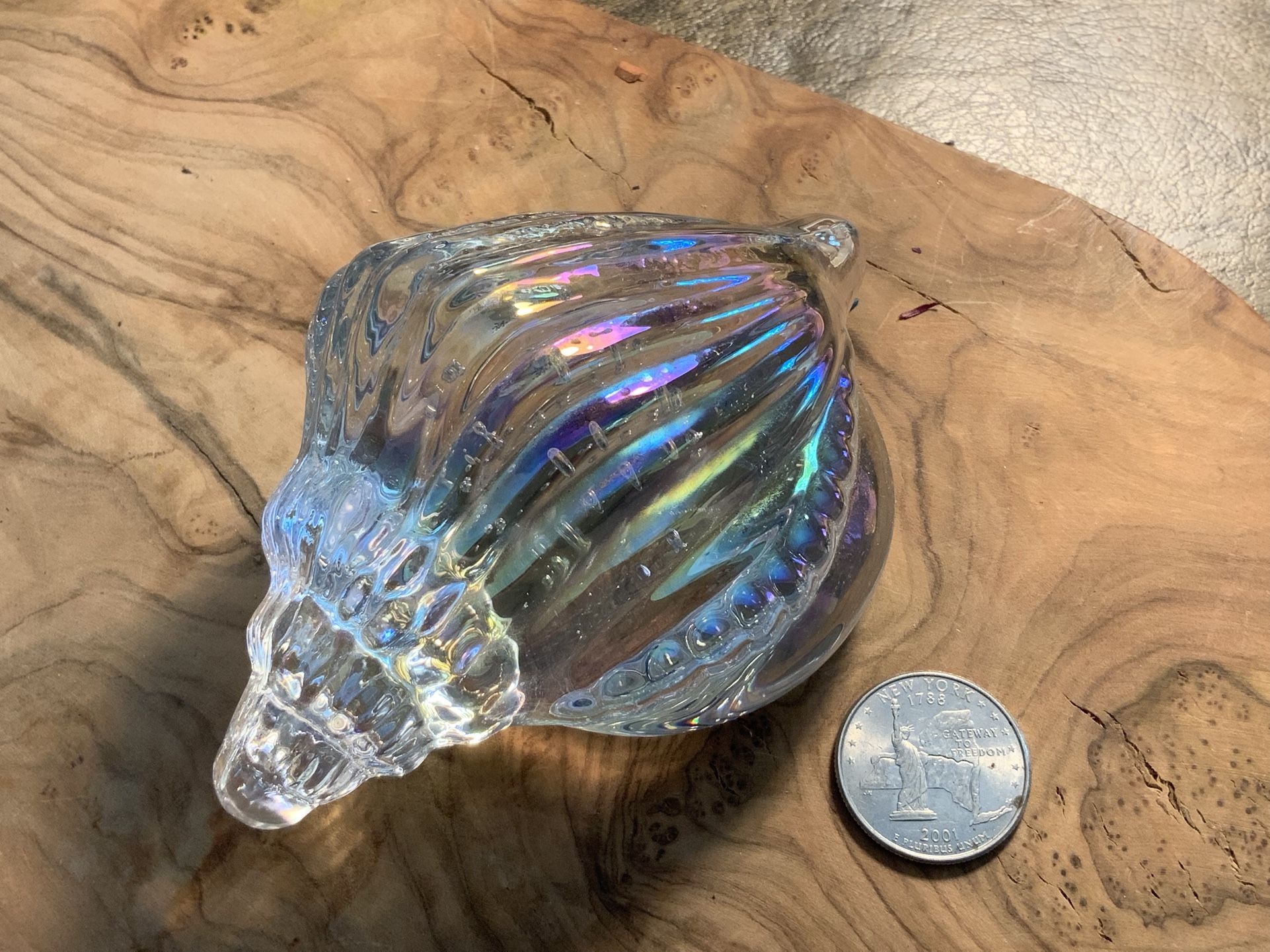 Iridescent Glass Seashell