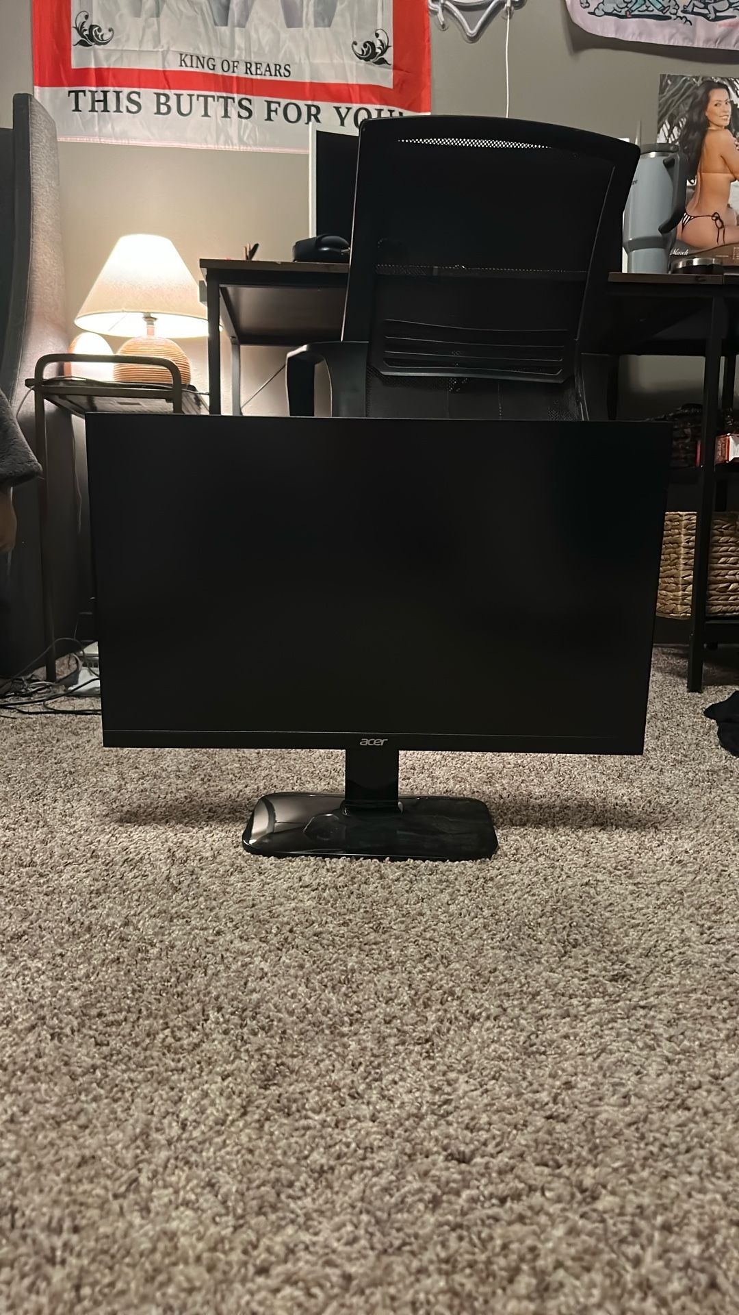 Acer Gaming Monitor