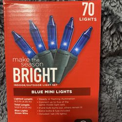 Blue Mini Lights 70ct NEW 