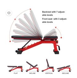 1000lb capacity weight bench