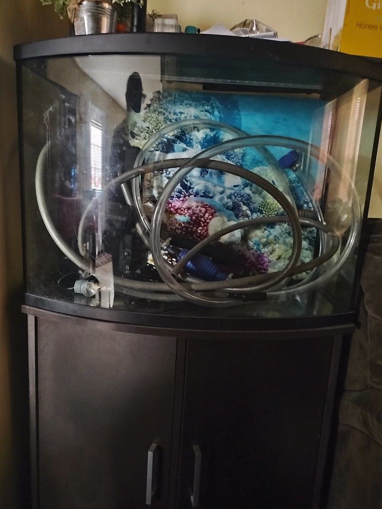 Fish Tank