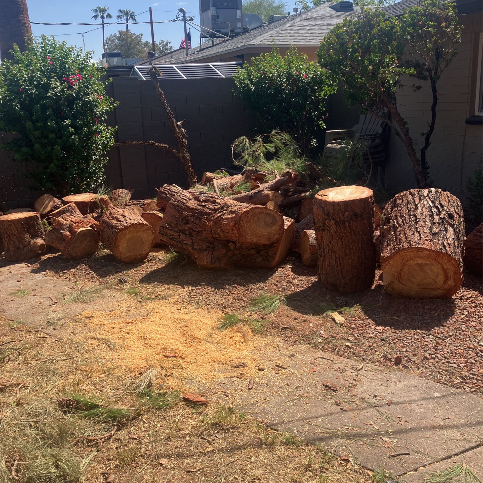 Free Firewood