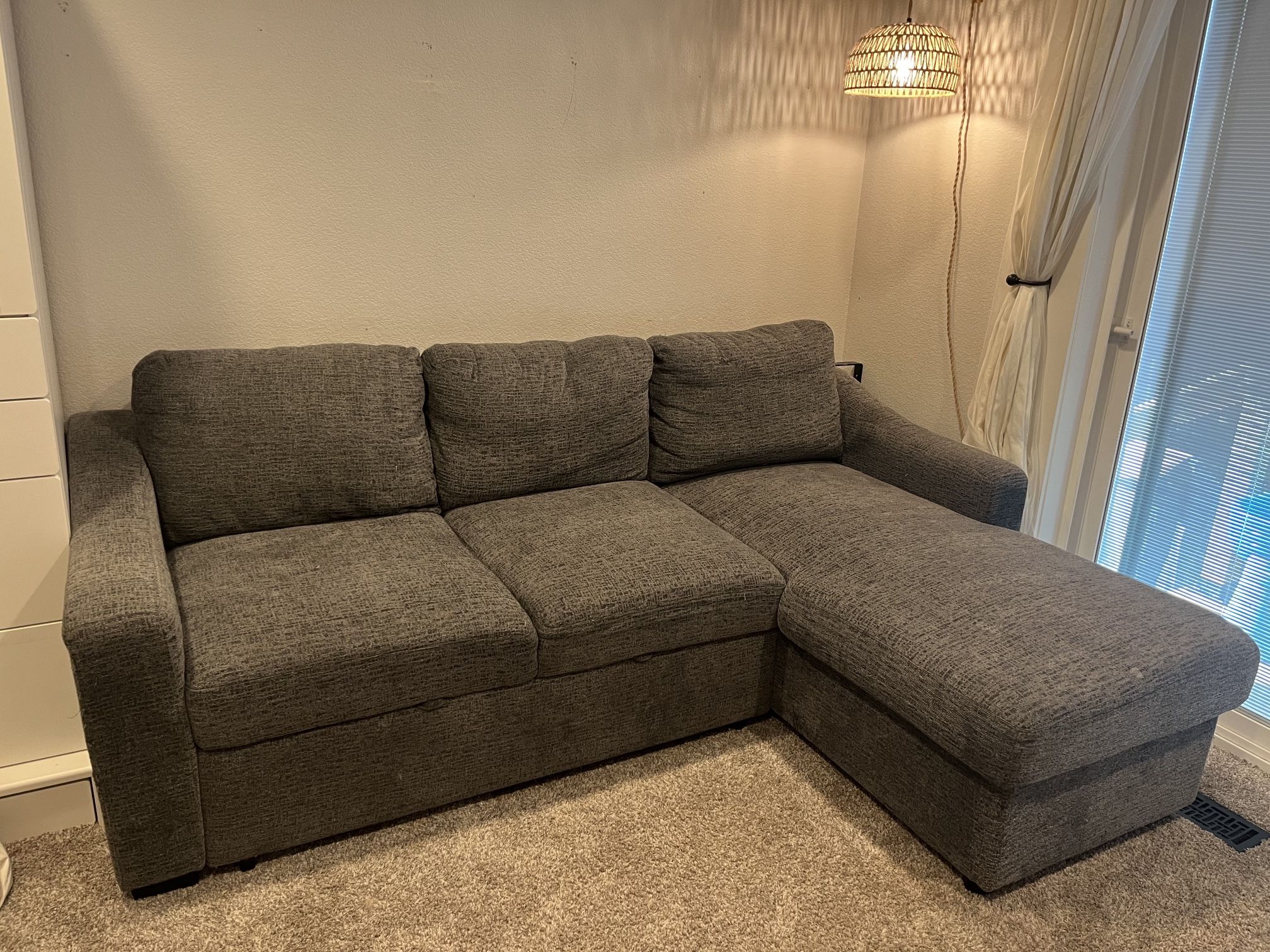 Coddle Aria Fabric Sleeper Sofa with Chaise Purchased From Costco OBO