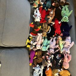 Beanie Baby Collection 