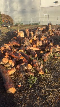 Good firewood