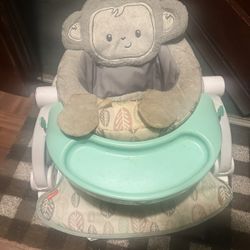 Infant Car seat And Seat 