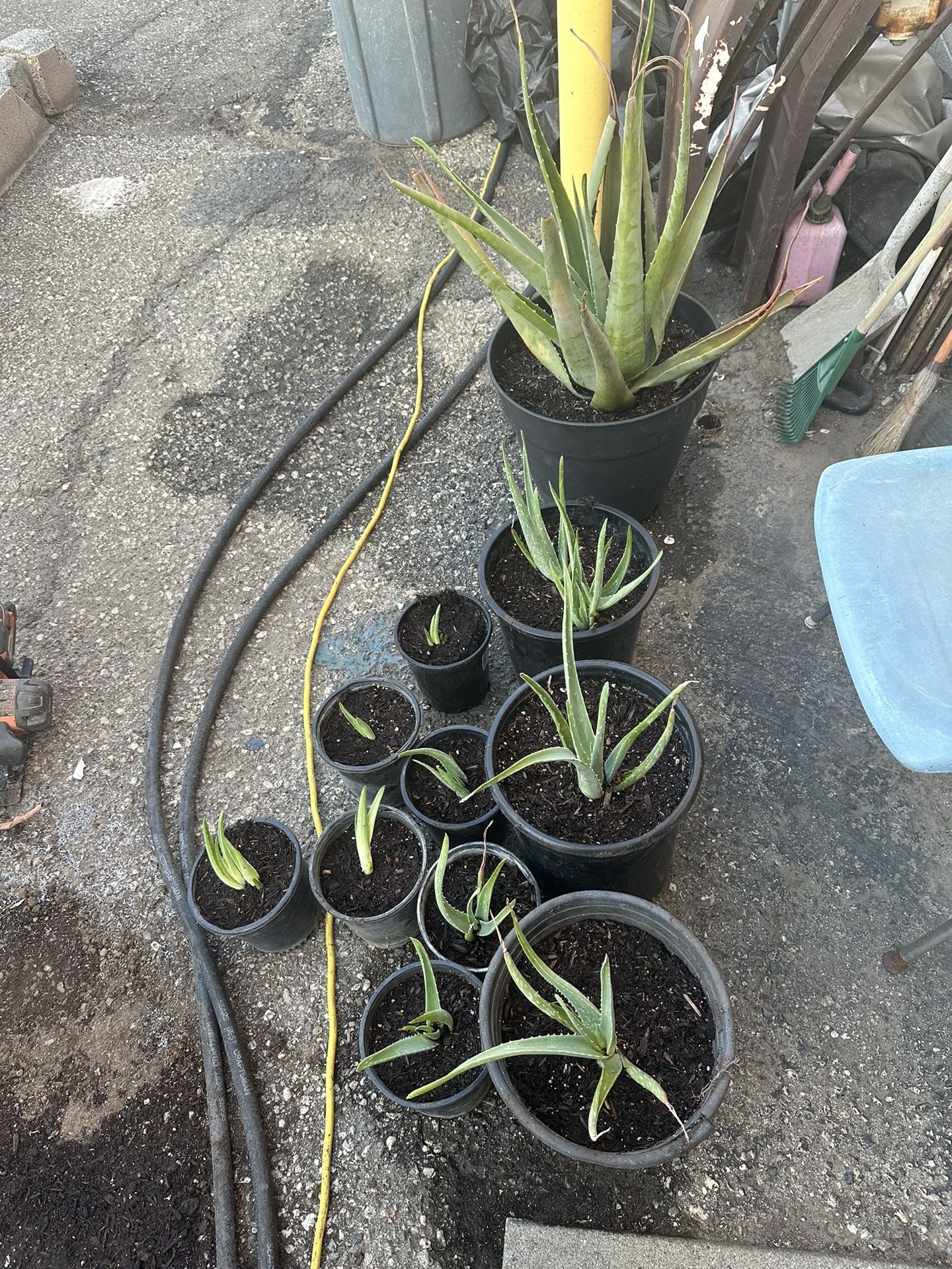 Stove And Good, Make Offer