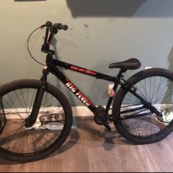 2021 Big Flyer