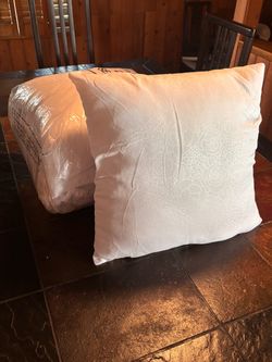 35 count - 18”x18” poly pillow fillers
