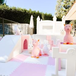 Toddler Soft Play 