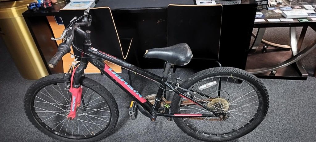 Nishiki Pueblo 24 inch Bicycle