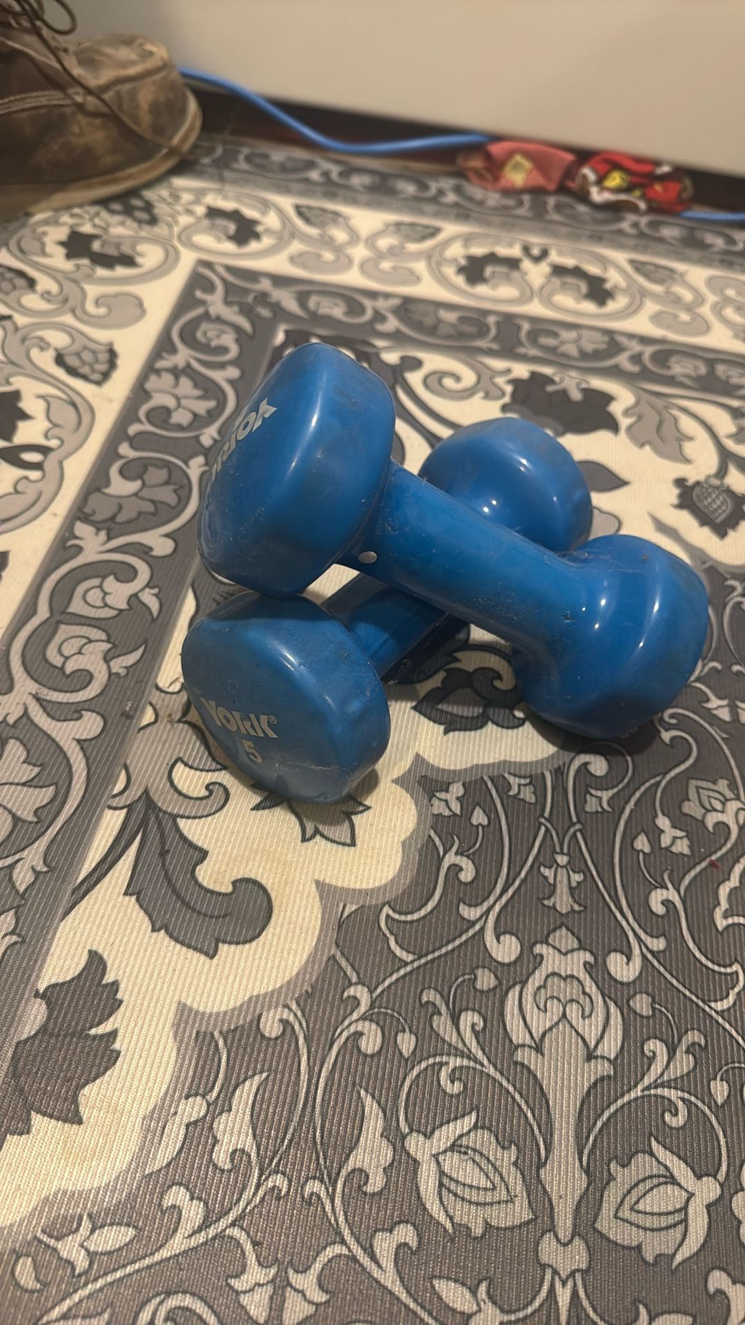 5lb Weights