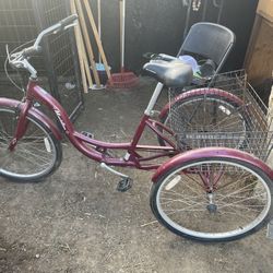 Schwinn Meridian Tricycle