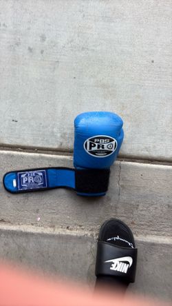 8 oz boxing gloves pbs pr