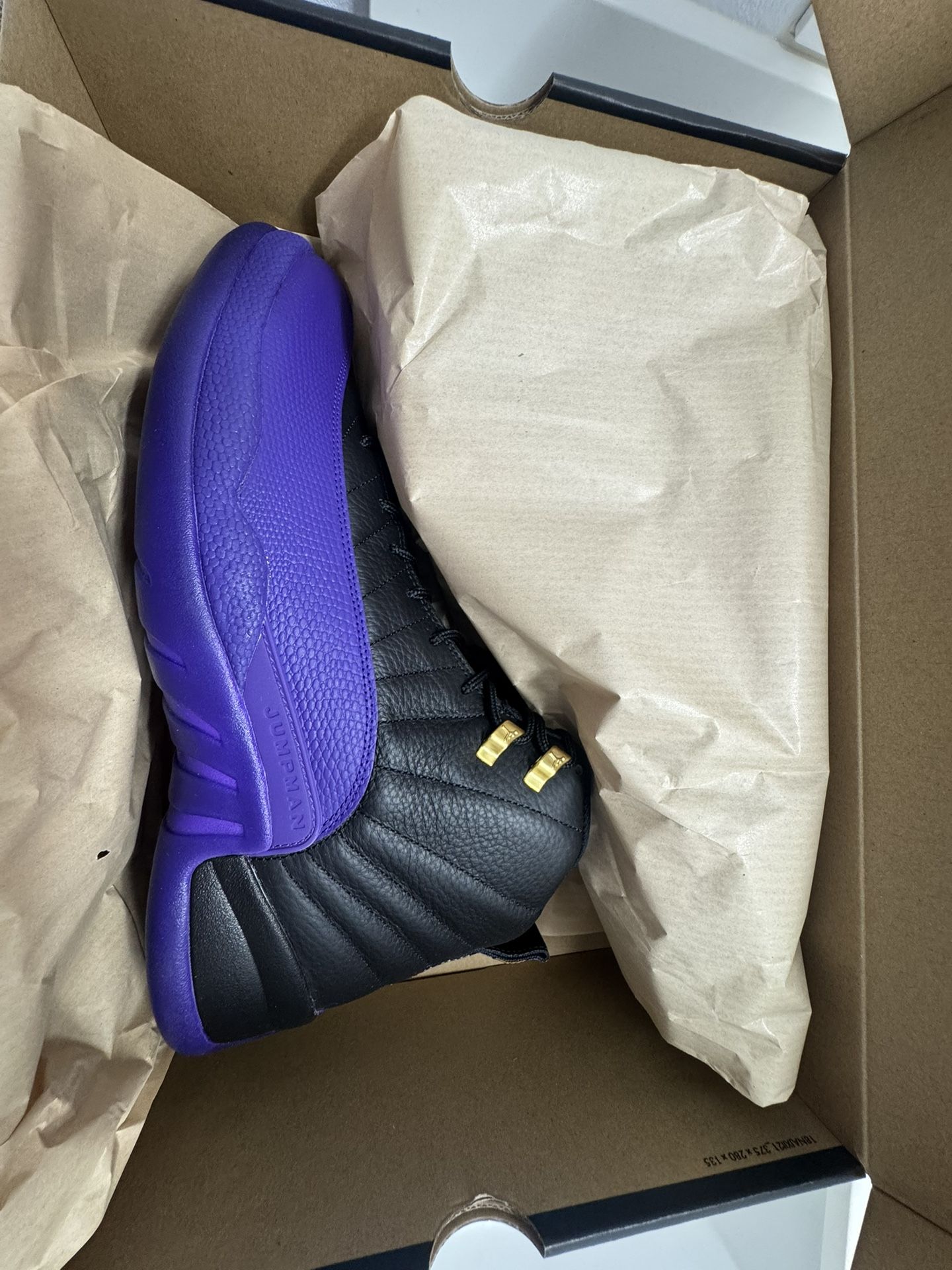 Jordan 12 Brand New Inbox