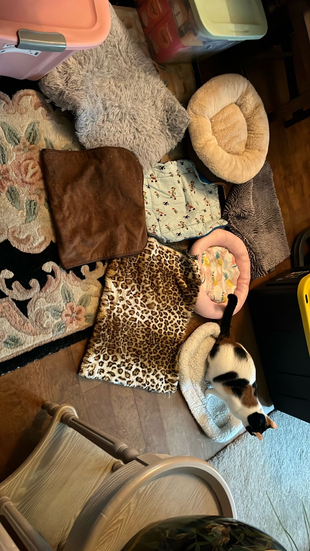 Cat Beds And Blankets