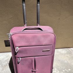 Leaves King Luggage Carry On Size