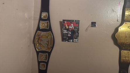 WWE Spinner Belt
