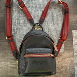 Coach Mini Backpack 