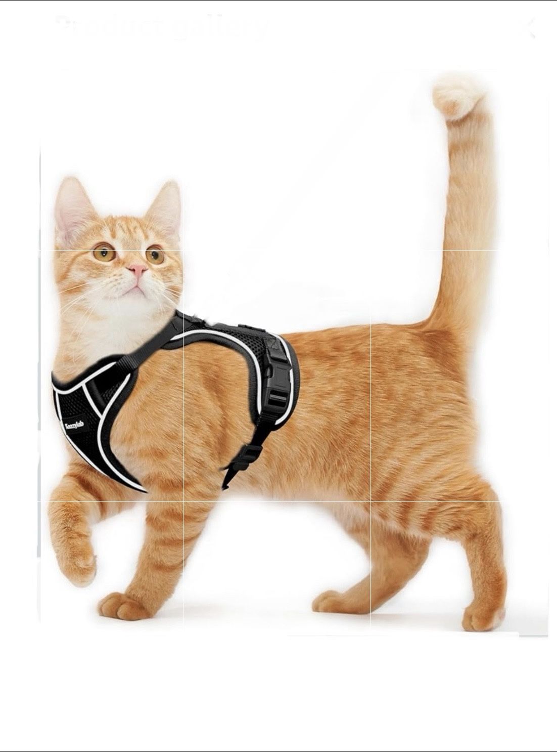 Cat Harness for Walking Breathable Comfortable Vest Easy to Wear Kitten Harness for Outdoor Travel Black M