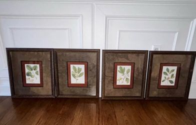 Set of 4 Botanical Framed Prints