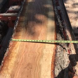 Cherry Slabs And More Live Edge Slabs