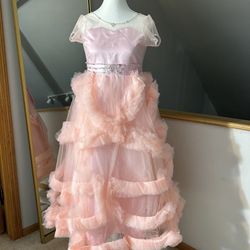 Flower Girl Dress Brand New 