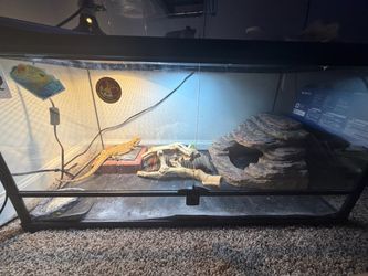 Reptile enclosure