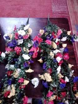 Petunia flower (6.00 for both)