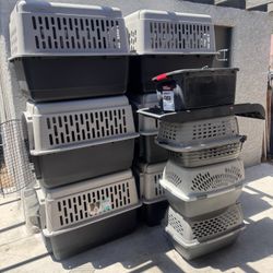 Dog Kennels