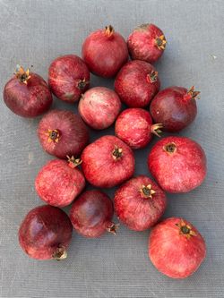 Fresh Backyard Pomegranates Granadas - Naturally Grown