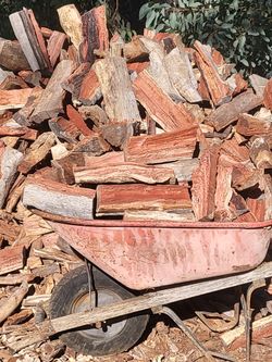 $20. Eucalyptus Firewood Per Wheelbarrow