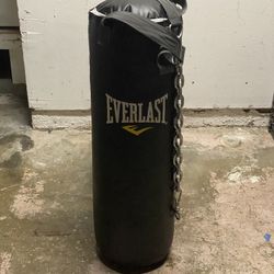 Everlast Punching Bag with Metal Chain