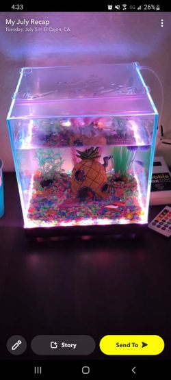 Fish Tank