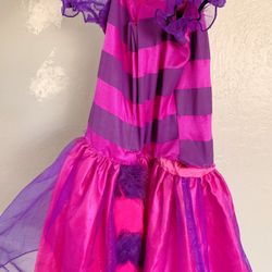 Halloween Costume _ Purple 🐈‍⬛ For 5 Year Old Girl 