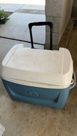 Igloo cooler