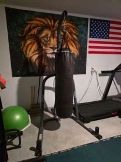 Everlast 100 LB Leather Heavy Bag Combo