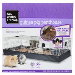 Guinea Pig Penthouse 