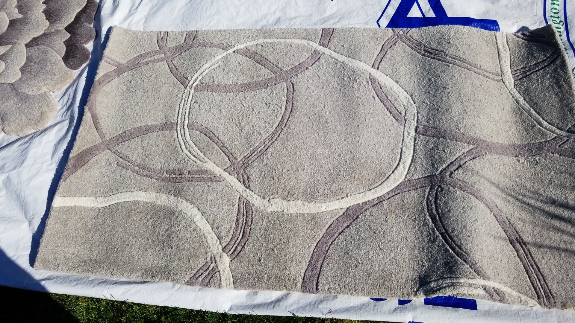 WEST ELM PLATINUM CIRCLES RUG 3X5