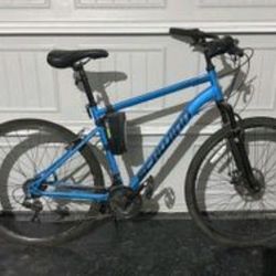 Schwinn Copeland