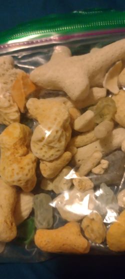 Corals and Beach Gems