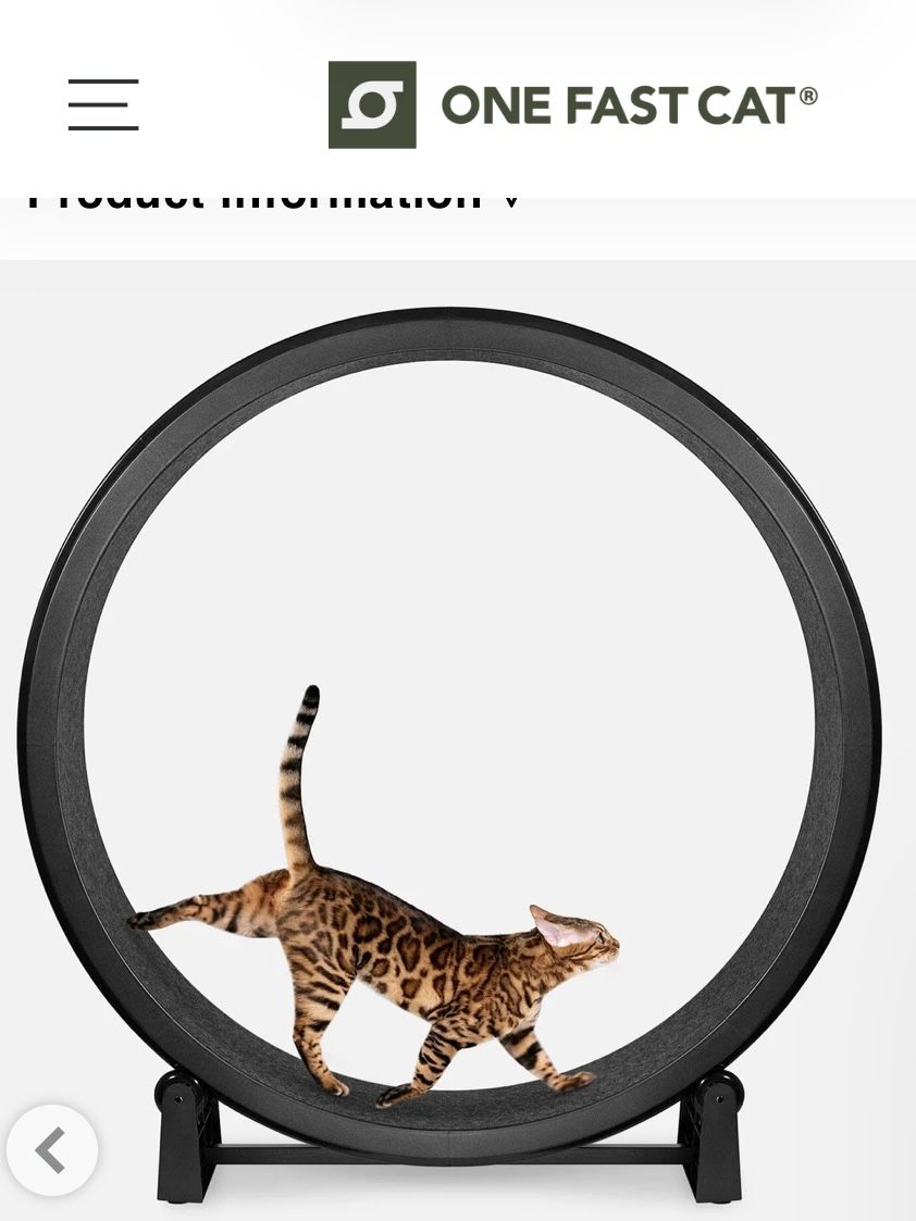 Cat Exercise Wheel