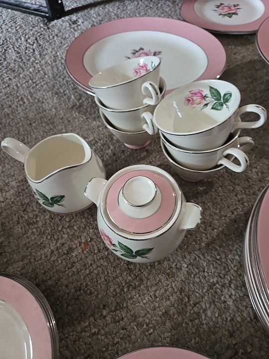 Lifetime China Pink Rose 