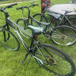 Mountain/ sports bikes  $60-$120