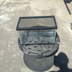 Fish Tank 