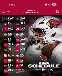 Arizona Cardinals vs New York Jets