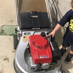 Nice one  asking prices $250