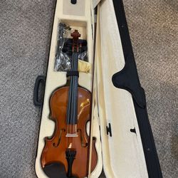 Violin Viscera