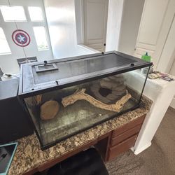 Glass reptile Terrarium