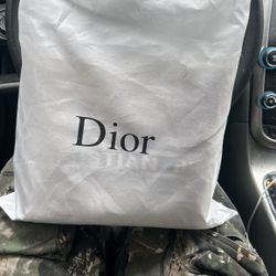 Dior Purse